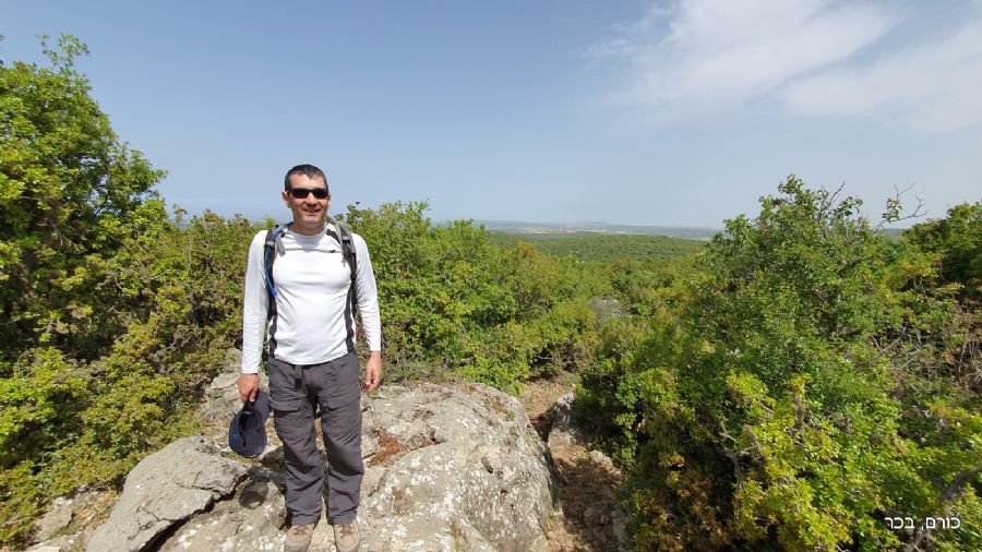 סובב הר מירון